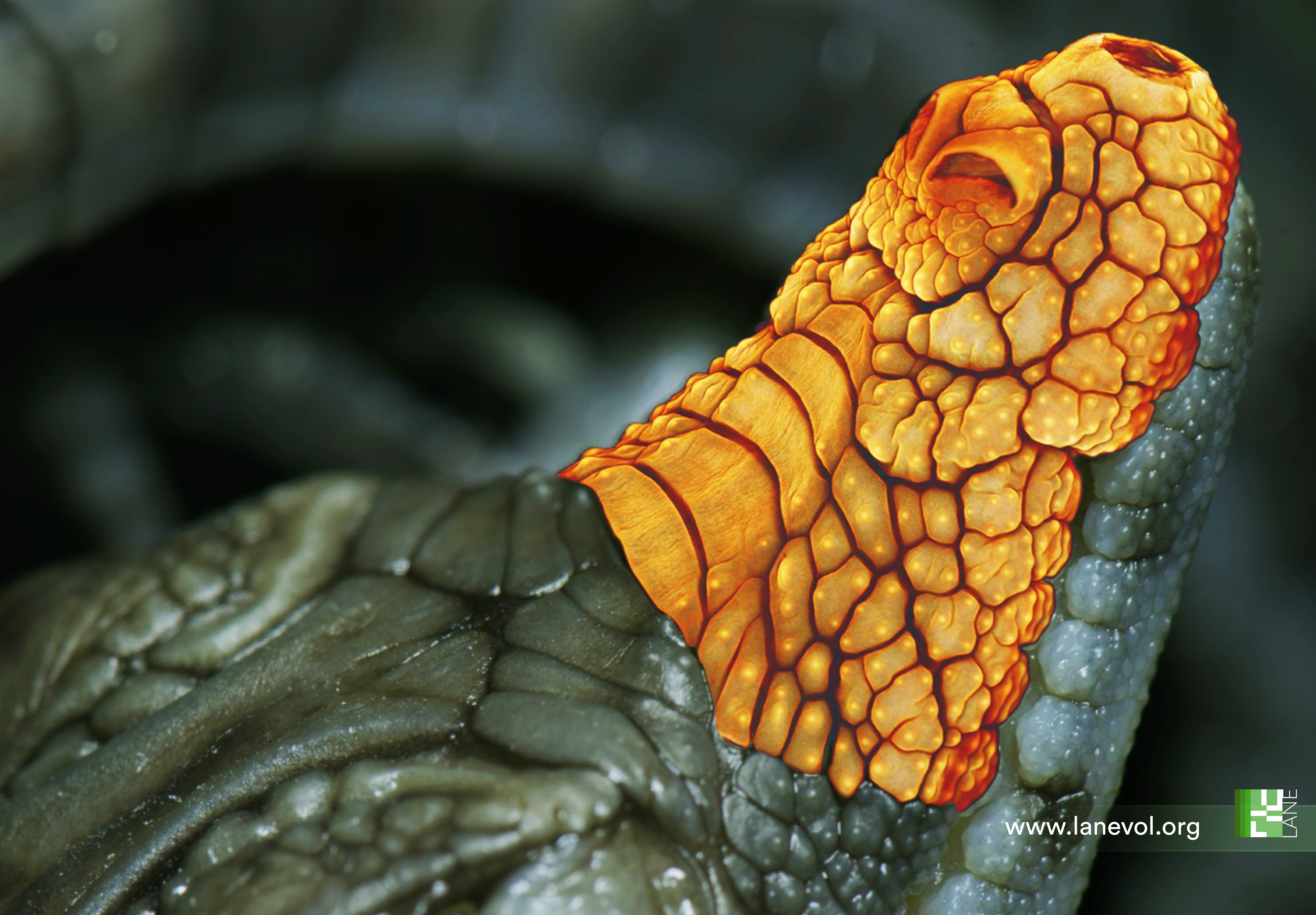 Research image